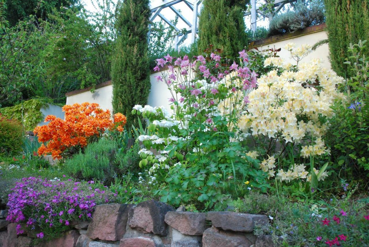 Am Berggarten Heidelberg Exterior photo
